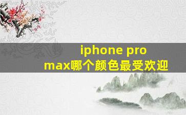 iphone pro max哪个颜色最受欢迎